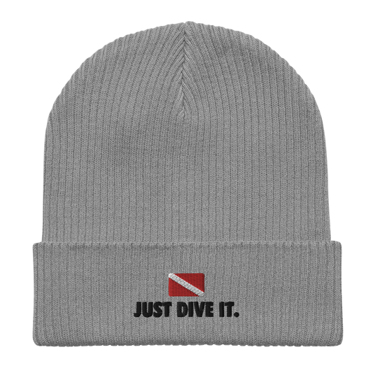 Just Dive It (horizontal) - Organic ribbed beanie